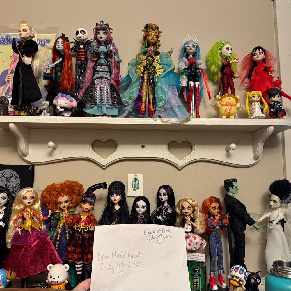 Monster high bundle DO NOT BUY UNLESS YOU ARE ALREADY IN CONTACT WITH MEEEEE